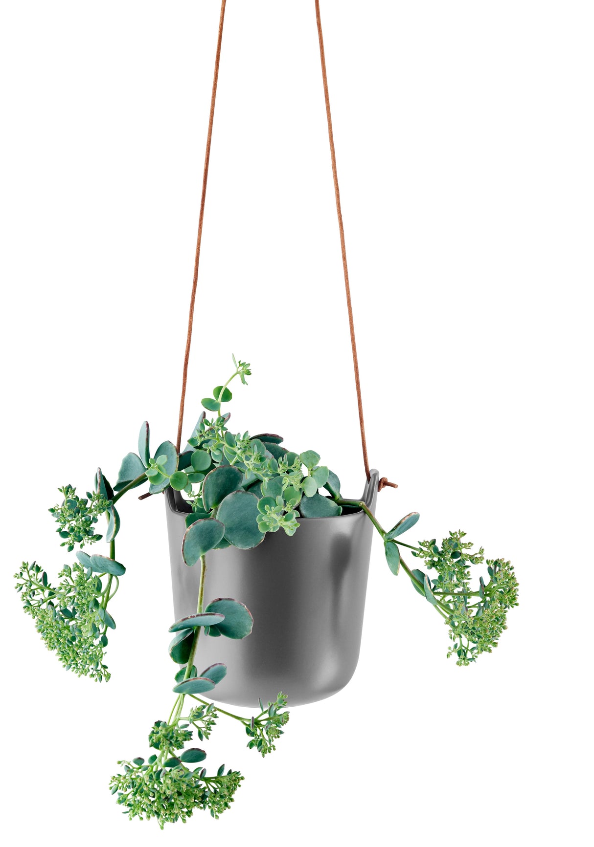 Self watering hanging pot  Nordic grey