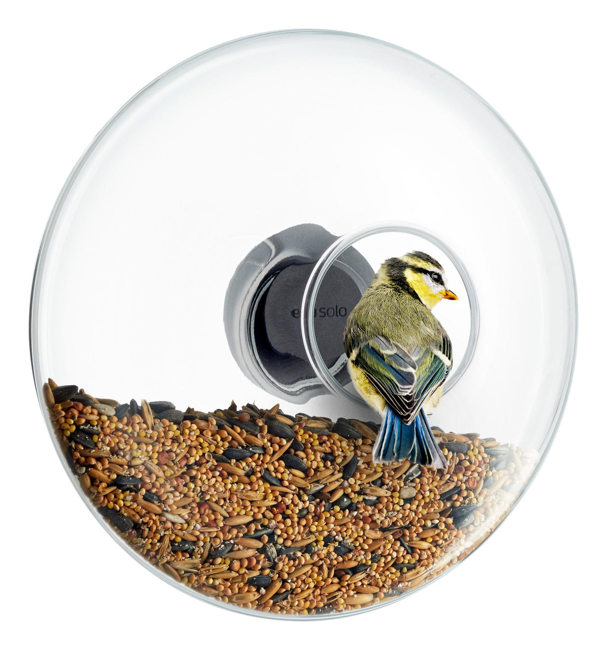 Window bird feeder large