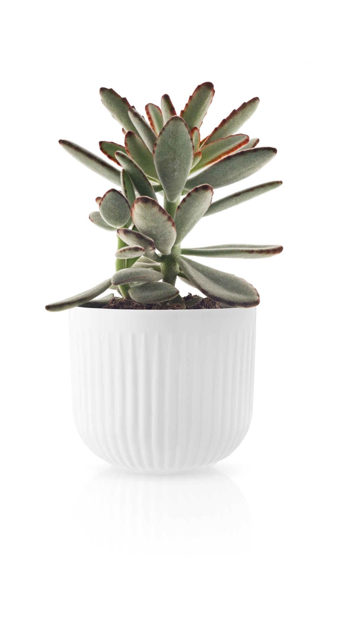Flowerpot small Nova