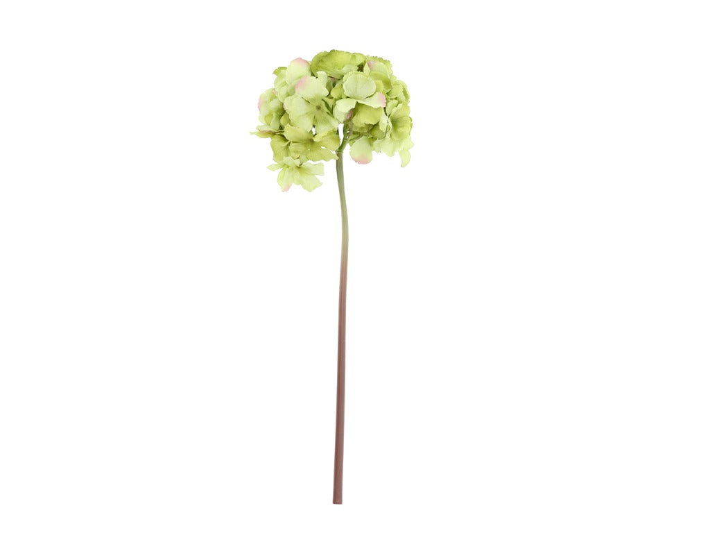 Hydrangea Styles 24 x 60 cm Green PVC