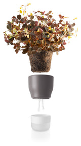 Self watering plant pot 9cm Nordic grey