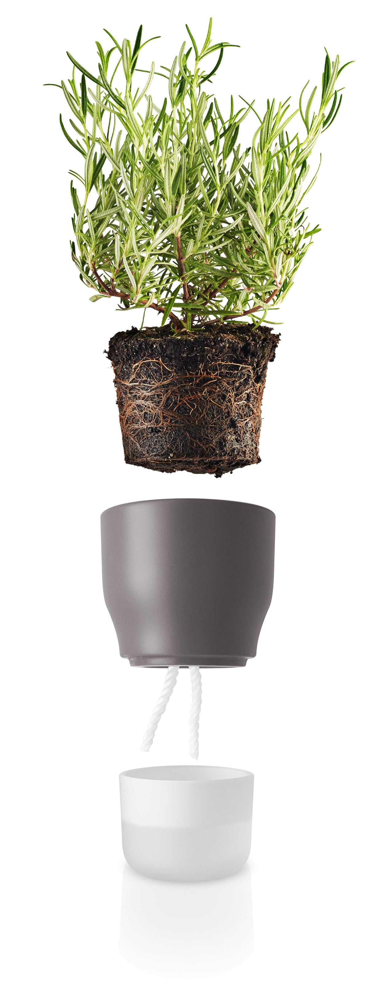 Self watering plant pot 11cm Nordic grey