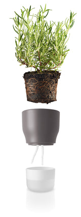 Self watering plant pot 11cm Nordic grey