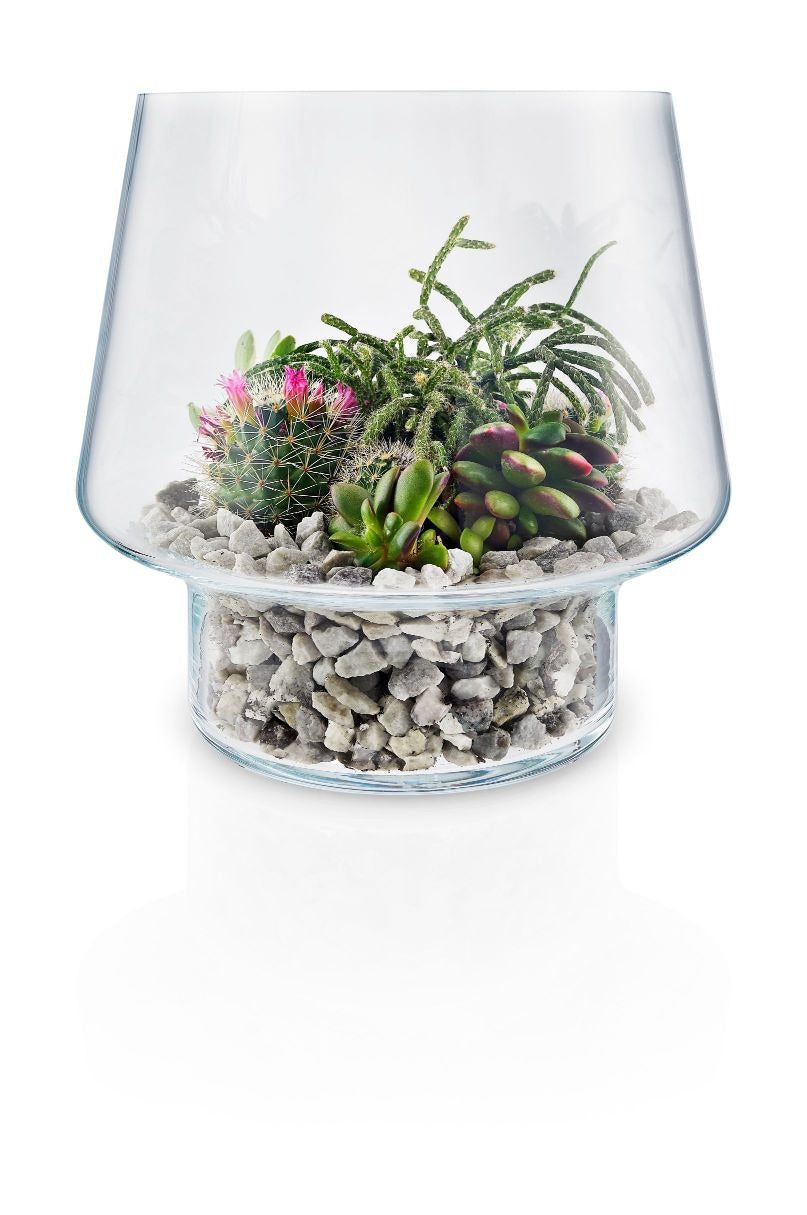 Succulent glass vase �21cm
