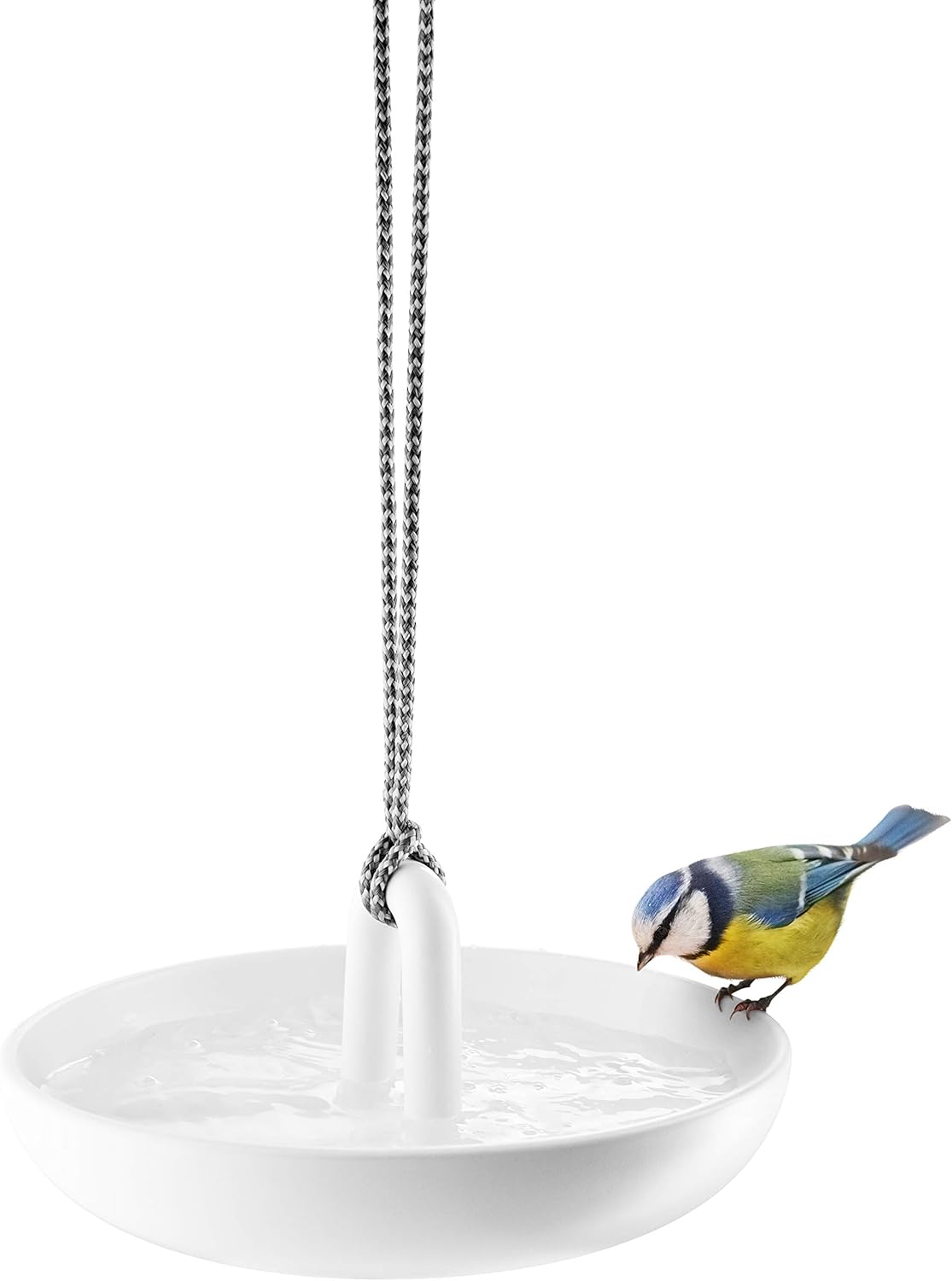 Hanging bird bath