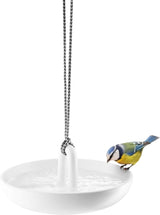 Hanging bird bath