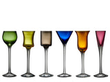 Schnapps glass 6 pcs. ass