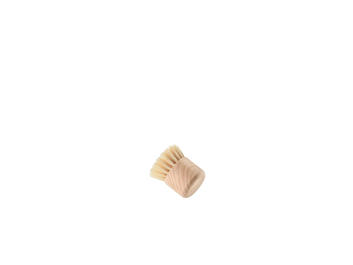Pot brush Inu Beech